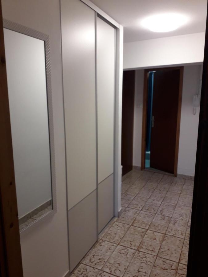 Apartments Pepe Novigrad Istria Dış mekan fotoğraf