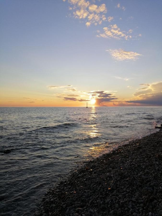 Apartments Pepe Novigrad Istria Dış mekan fotoğraf