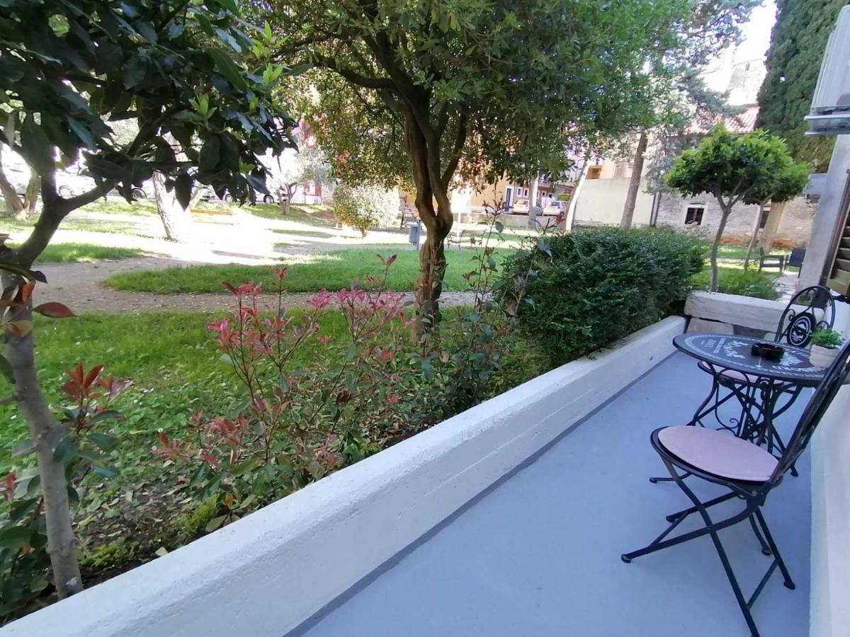 Apartments Pepe Novigrad Istria Dış mekan fotoğraf