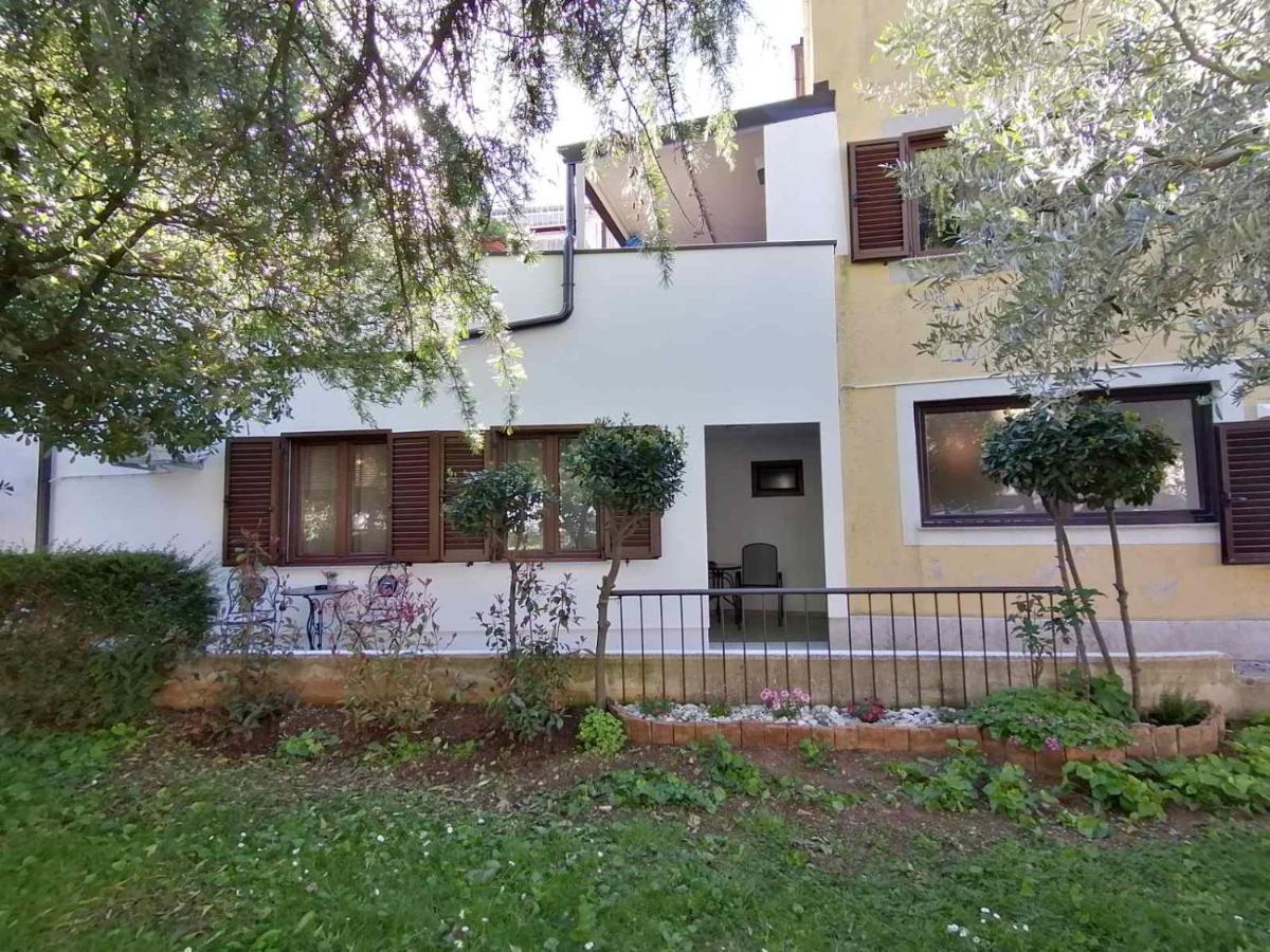 Apartments Pepe Novigrad Istria Dış mekan fotoğraf