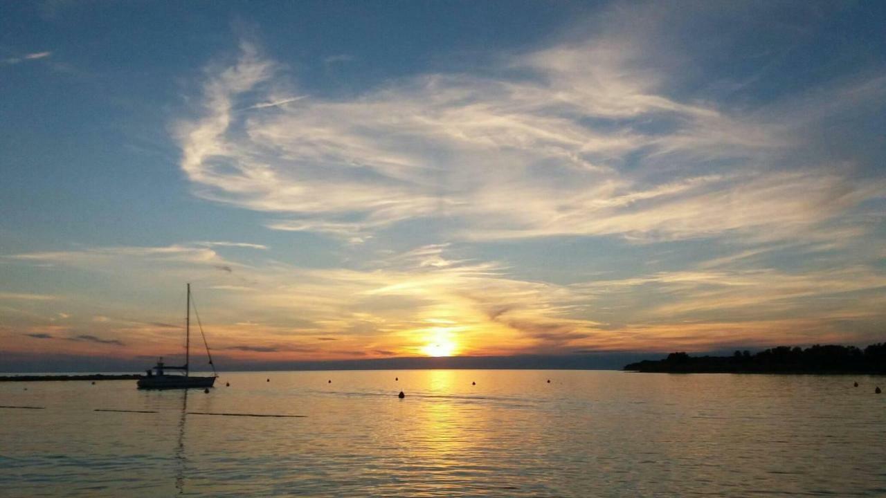 Apartments Pepe Novigrad Istria Dış mekan fotoğraf